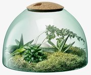 Skleněná dekorace Canopy, výška 22 cm, čirá/korek - LSA International