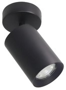 Tore mennyezeti spotlámpa