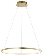 Leuchten Direkt 11524-12 - LED Csillár zsinóron CIRCLE LED/28,5W/230V