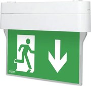 Led vészhelyzeti lámpatest, Arrow N kétfunkciós 1W 6000K 1h PU31,PU41, fehér, I