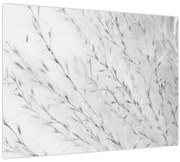 Kép - Pampafű N⁰2 (70x50 cm)