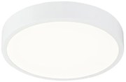 Globo Globo 12364-22 - LED dimmelhető mennyezeti lámpa LED/22W/230V GL5130