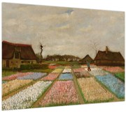 Kép - Vincent van Gogh, Flower Beds in Holland, reprodukciók (70x50 cm)