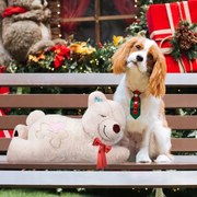 All For Paws Ölelő játék kutyáknak, kölyökkutyáknak, melegítő ölelés