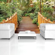 Fotótapéta - Séta az erdőn (152,5x104 cm)