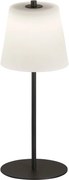 FISHER&HONSEL 850286 MARBELLA Kültéri Dekorációs Lámpa LED IP44