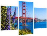 Kép - Golden Gate híd, San Francisco (90x60 cm)