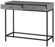 Szürke konzolasztal 35x90 cm Celine – Støraa