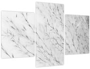 Kép - Pampafű N⁰2 (90x60 cm)