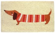 Kókuszrost lábtörlő 43x73 cm Sausage Dog – Rex London
