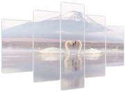 Kép - Szerelmes hattyúk (150x105 cm)