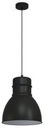 Eglo Ebury 43622 függeszték, 1x60W E27