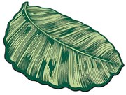 Zöld fürdőszobai kilépő 60x100 cm Sheet – Foutastic