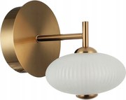 Italux Fali lámpa Nico, Arany, Led 5W, Fehér Ellipszis lámpabúra