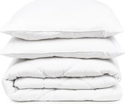 4Home Aloe Vera paplan és párnák szett, 200 x 220 cm, 2 db 70 x 90 cm, 200 x 220 cm, 2 ks 70 x 90 cm