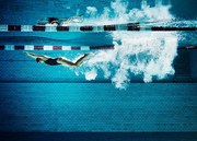 Fotográfia Female swimmer underwater in pool, Henrik Sorensen