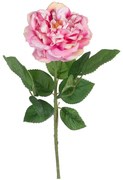Művirág (magasság 43 cm) Rose – Ixia