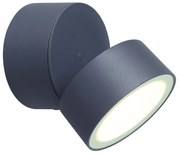 Lutec Trumpet 6260-gr kültéri falilámpa, 11W LED