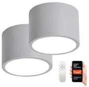 Immax NEO 07143-GR15BD- KÉSZLET 2x LED Mennyezeti lámpa RONDATE 12W/230V Tuya szürke + távirányító