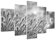 Kép - Bézs színű puha fű N⁰1 (150x105 cm)