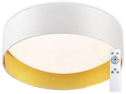Top Light - LED Dimmelhető mennyezeti lámpa LED/24W/230V + távirányító fehér