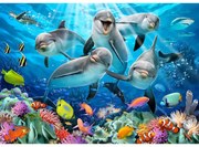 Vidám delfinek fa puzzle