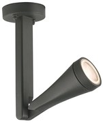 Ottawa kültéri fali spotlámpa