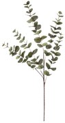 Eukaliptusz - mű ág, nagy levelek, 100 cm, zöld