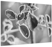 Üveg kép - Őszi természet (70x50 cm)