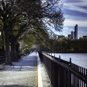 Poszter 40x40cm New York sétány, Assaf Frank