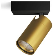 Philips - Fürdőszobai spotlámpa IDRIS 1xGU10/5W/230V IP44 fekete/arany