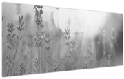Kép - Levendula (120x50 cm)