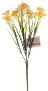 Sárga-fehér nárcisz, 15 virágos csokor, magasság32 cm