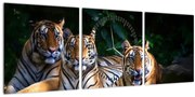 Kép - Tigris testvérek (órával) (90x30 cm)