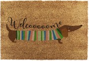 Kókuszrost lábtörlő 40x60 cm Welcome Sausage Dog – Artsy Doormats