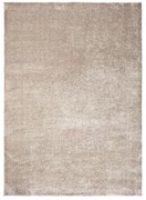 Szürke-bézs szőnyeg 160x230 cm – Universal