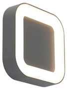 Fali és mennyezeti lámpa szürke négyzet alakú IP54 - Ariel