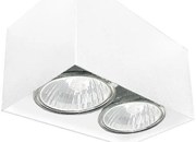 Brosline 1077 - Irányítható spotlámpa CAGE 2xGU10/10W/230V fehér