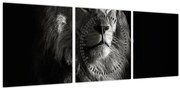 Kép - Oroszlán (órával) (90x30 cm)