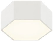 Argon 8781 - LED Mennyezeti lámpa LIBERO LED/12W/230V 3000K fehér