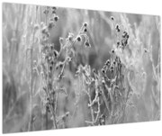 Kép - Wild Meadow (90x60 cm)