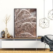 Poszter - Növények virága (A4)