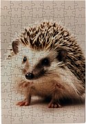 Süni Puzzle Süni 120 db-os 20x30 cm Puzzle