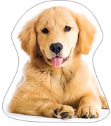 Kutyás Golden Retriver formapárna, díszpárna 35x35 cm