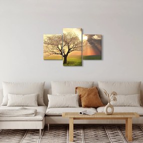 Fa képe a réten (90x60 cm)