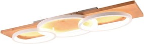 TRIO 641110331 BARCA Modern LED Mennyezeti Lámpa Fehér LED IP20
