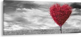 Kép - szív a fák koronájából (120x50 cm)