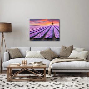 Kép - virágfarm (70x50 cm)