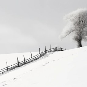 Poszter 60x60cm Magány Tél a kerítésnél