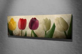 PC147 vászonkép, 30 x 80 cm